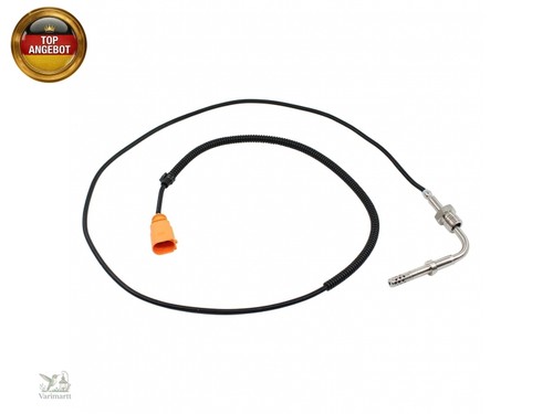 Abgastemperatursensor nach